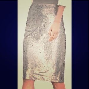 NWT Banana Republic Sequin Pencil Skirt